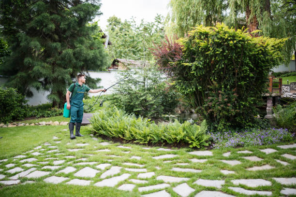 Flea Control Services in Lawnton, PA