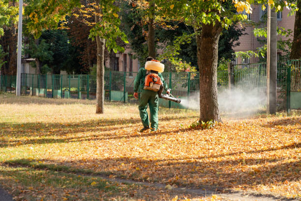 Best Flea Control Services  in Lawnton, PA